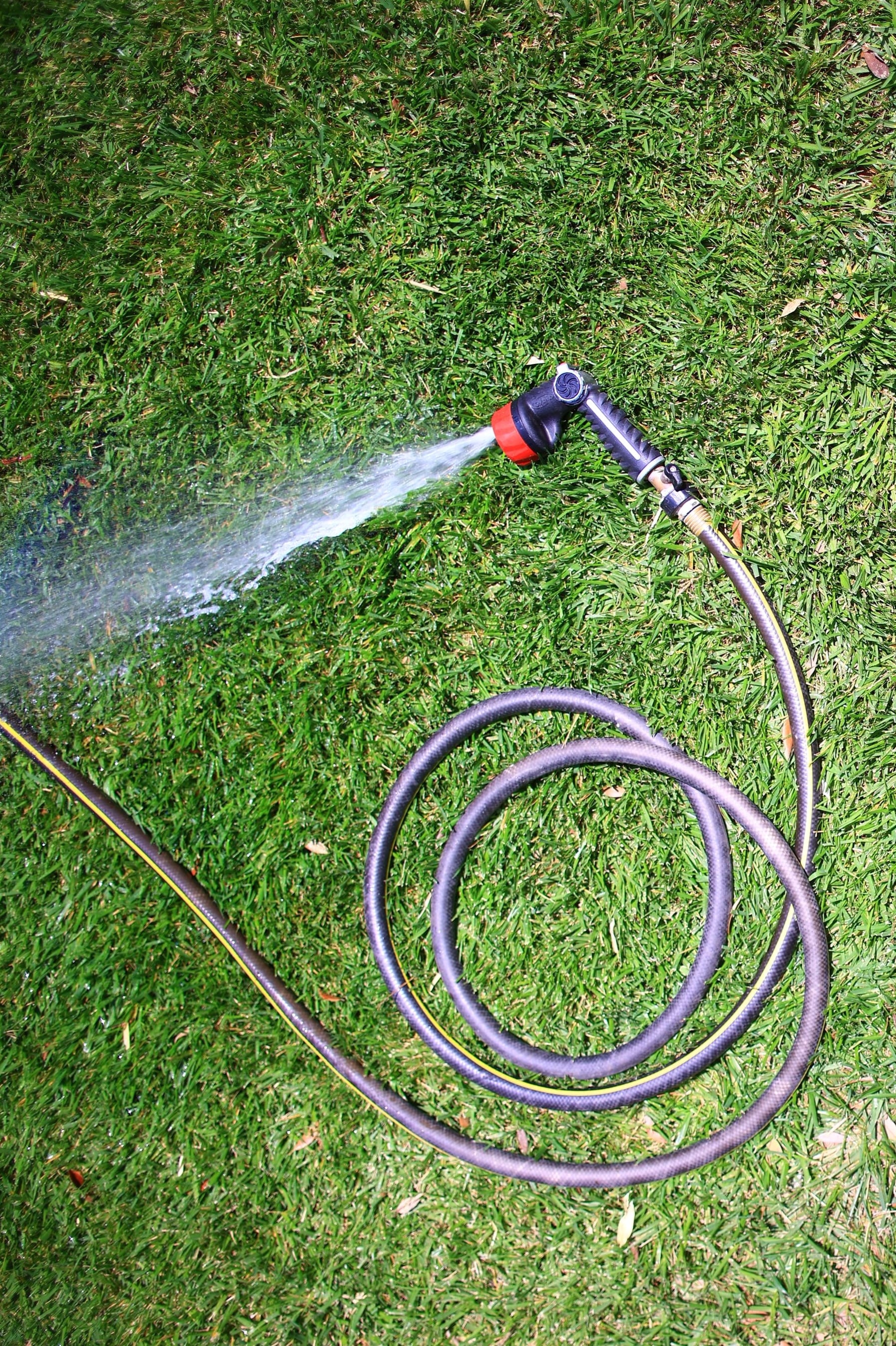 Watering a green lawn with a garden hose
